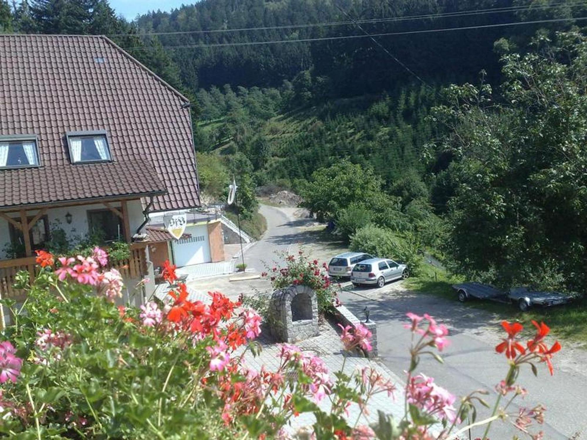 Ferienwohnung Schneckenhus Lautenbach Esterno foto