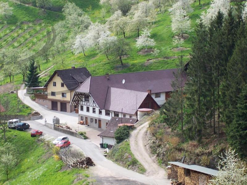 Ferienwohnung Schneckenhus Lautenbach Esterno foto