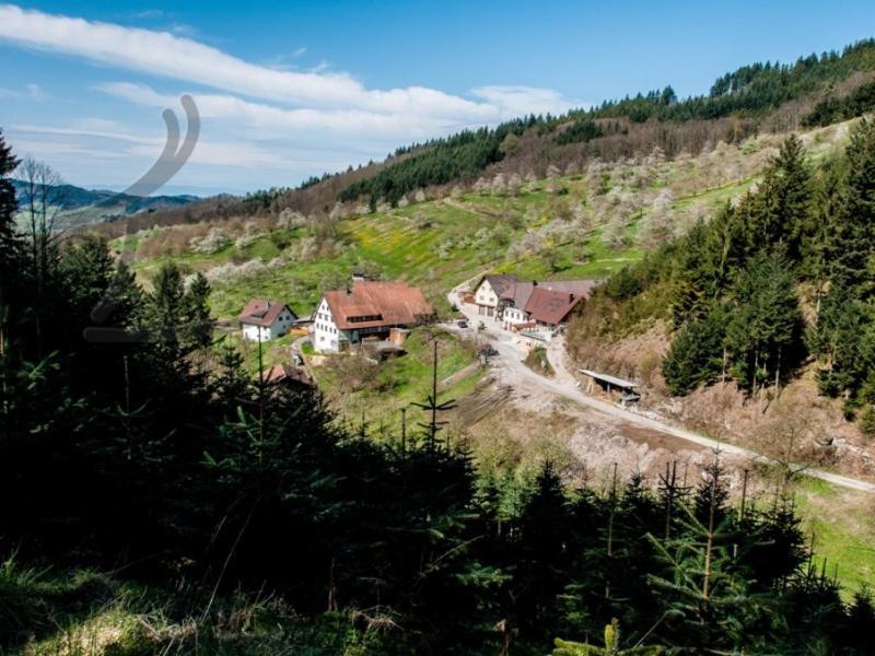 Ferienwohnung Schneckenhus Lautenbach Esterno foto