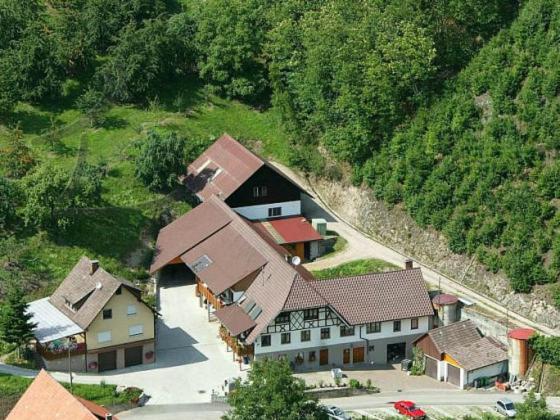 Ferienwohnung Schneckenhus Lautenbach Esterno foto
