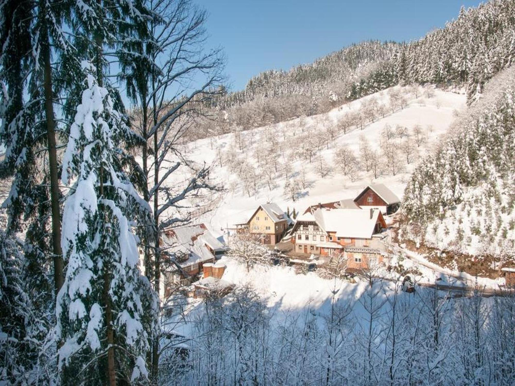 Ferienwohnung Schneckenhus Lautenbach Esterno foto