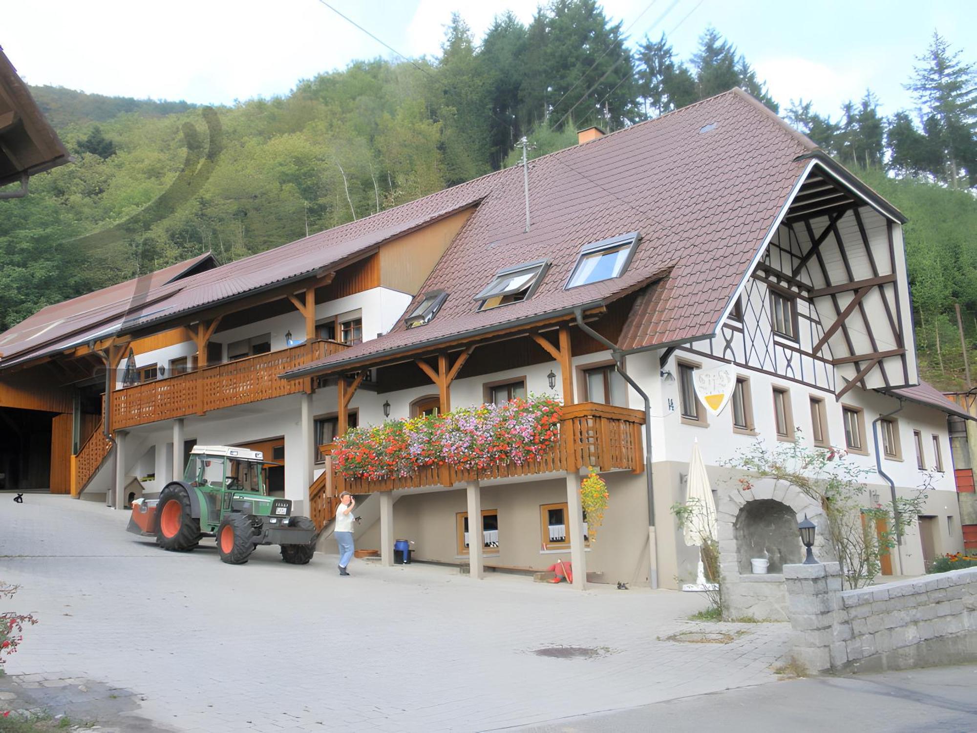 Ferienwohnung Schneckenhus Lautenbach Esterno foto